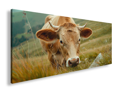 Hauptbild Farbig Panorama