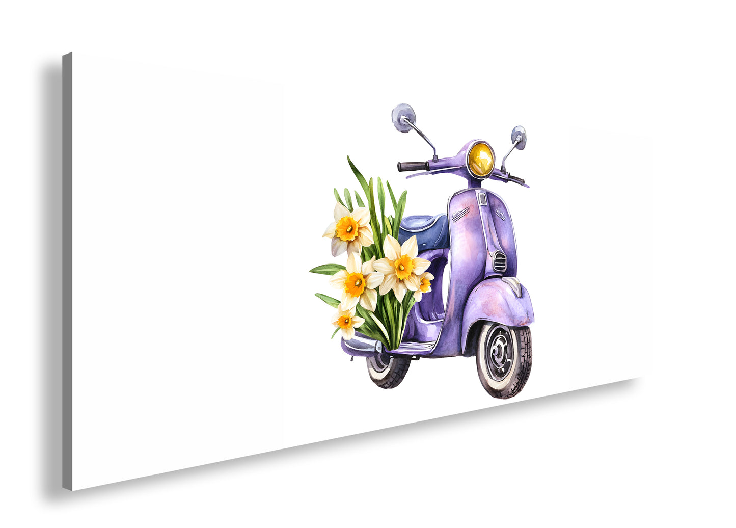 Hauptbild Farbig Panorama