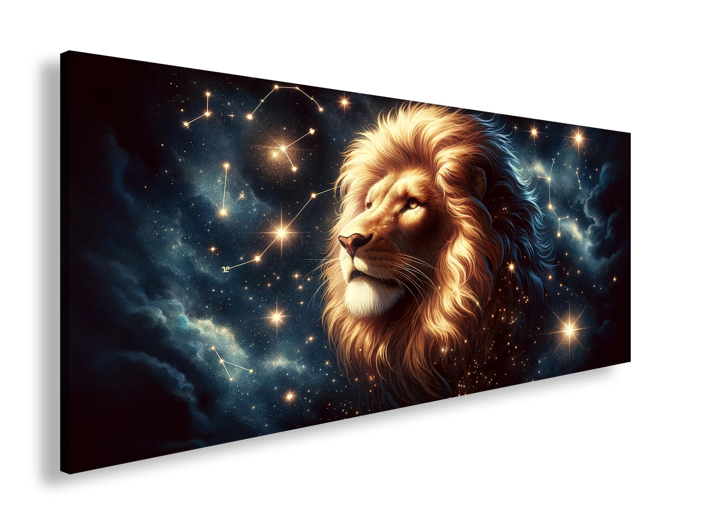 Hauptbild Farbig Panorama