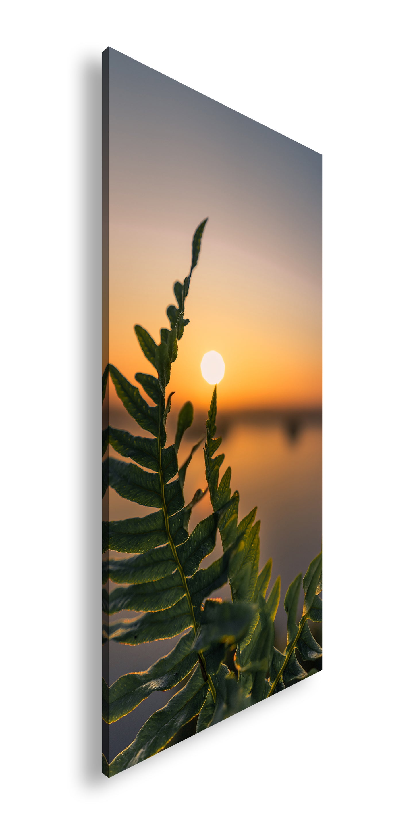 Hauptbild Farbig Panorama