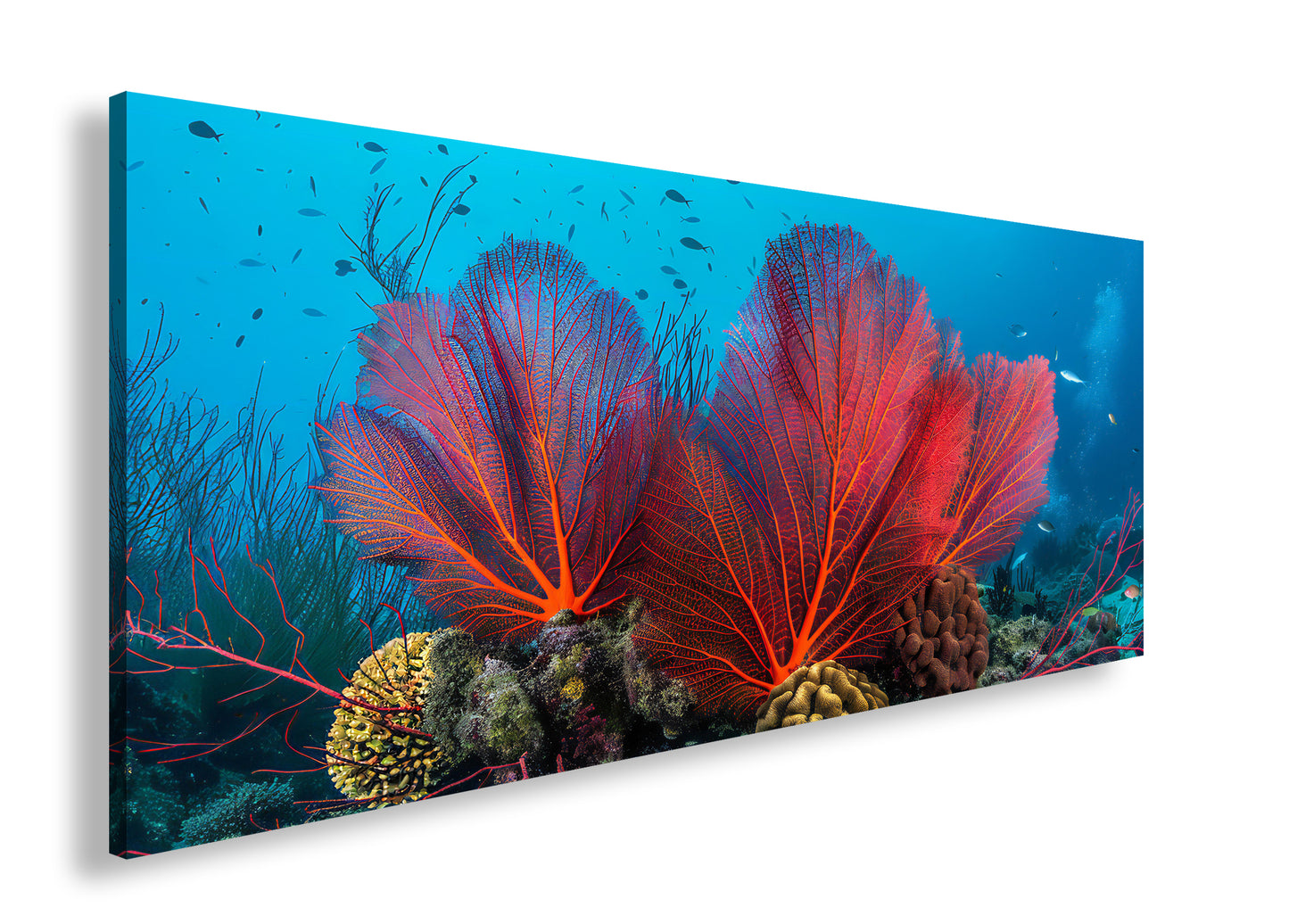 Hauptbild Farbig Panorama