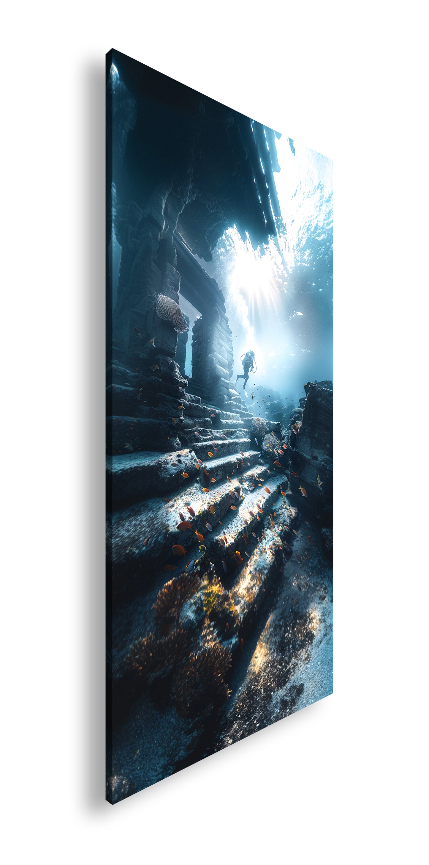 Hauptbild Farbig Panorama