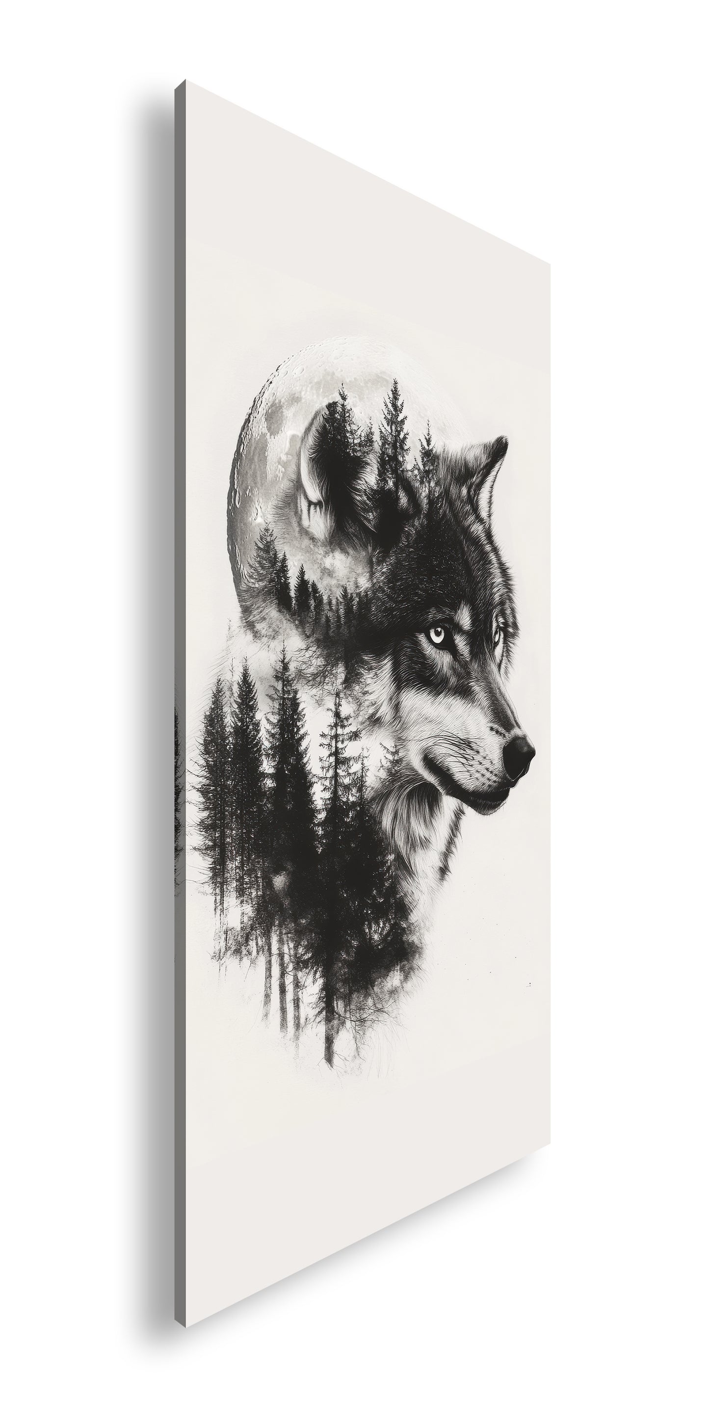 Hauptbild Farbig Panorama