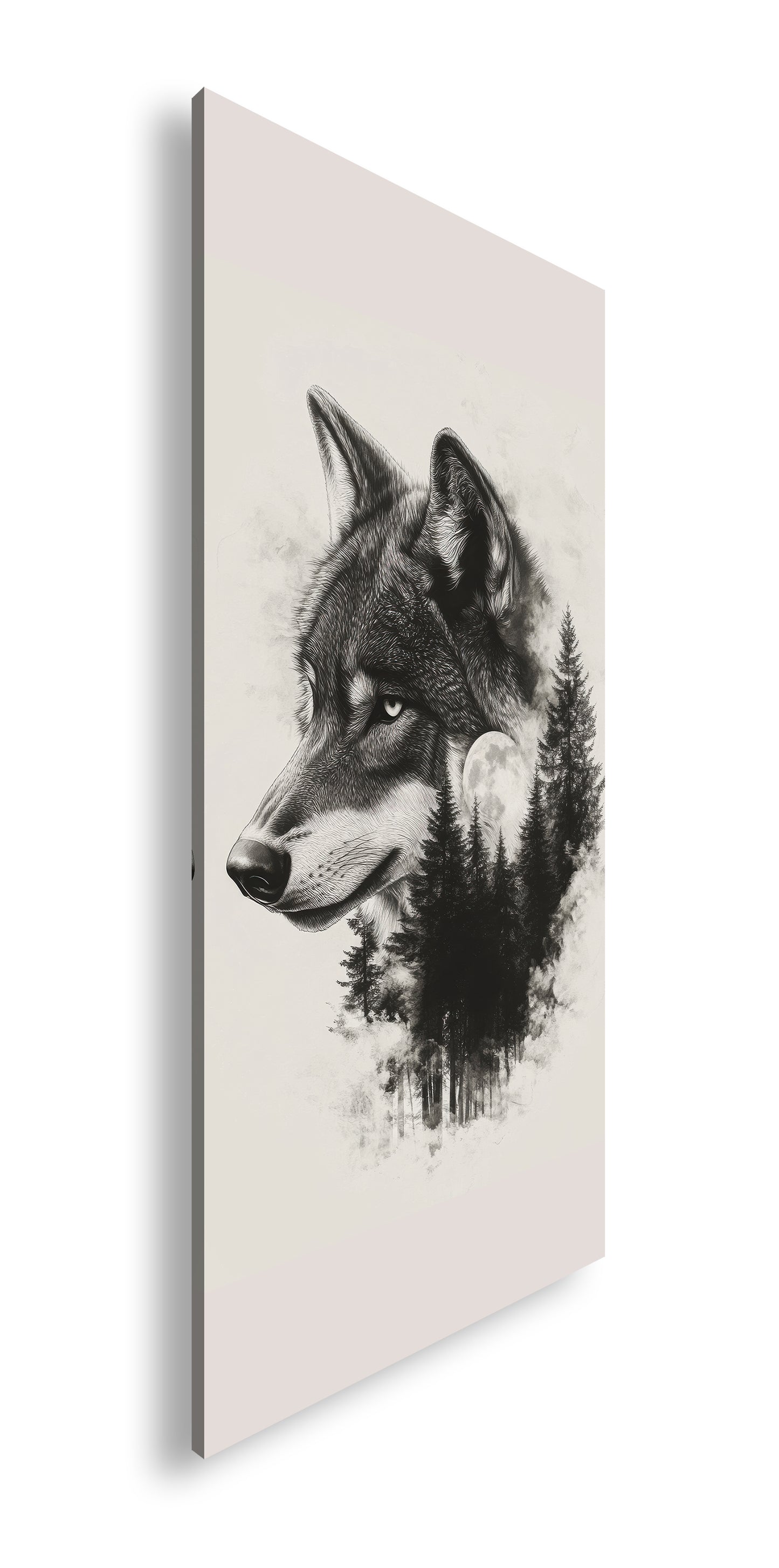 Hauptbild Farbig Panorama