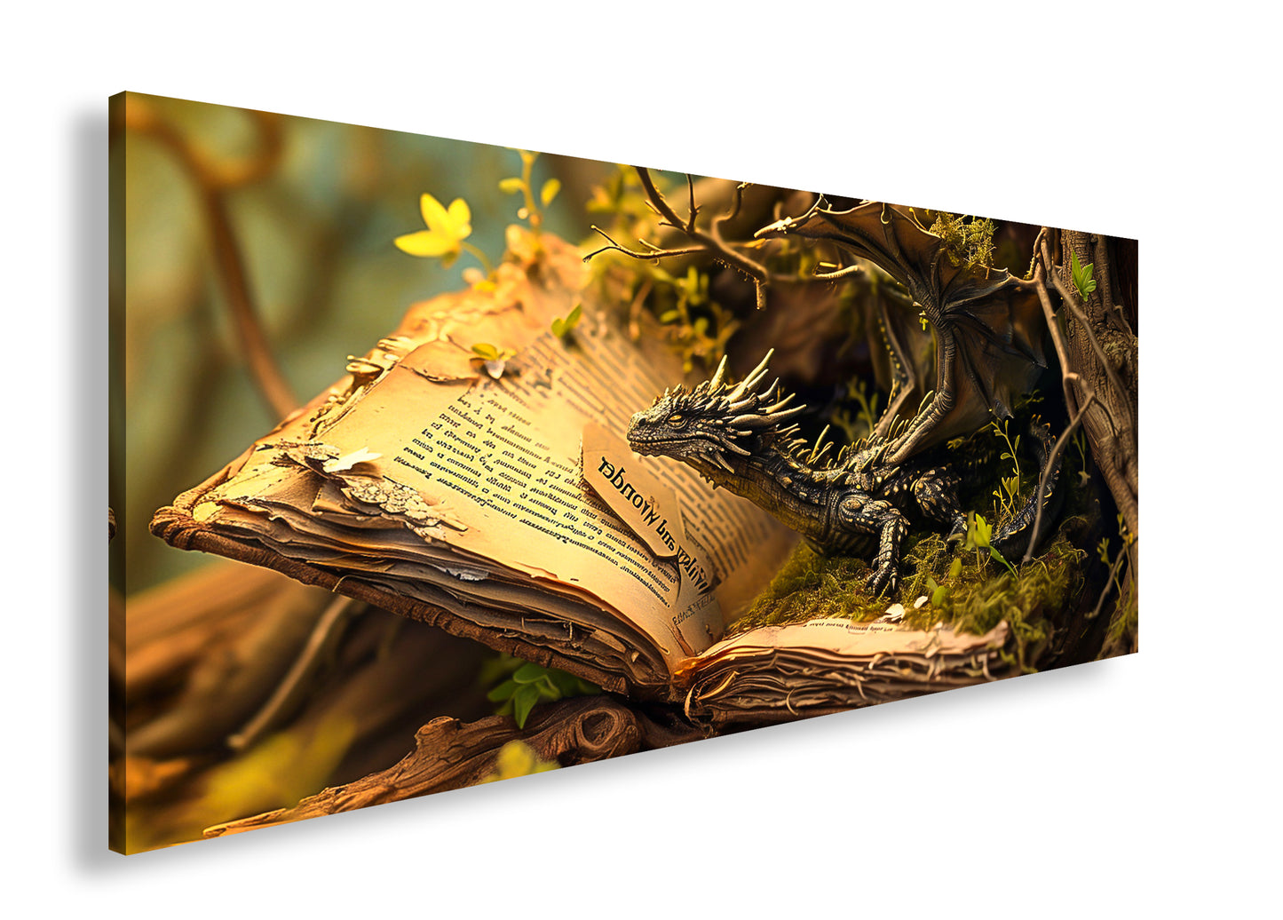 Hauptbild Farbig Panorama