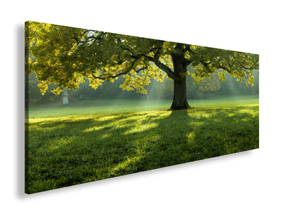 Hauptbild Farbig Panorama