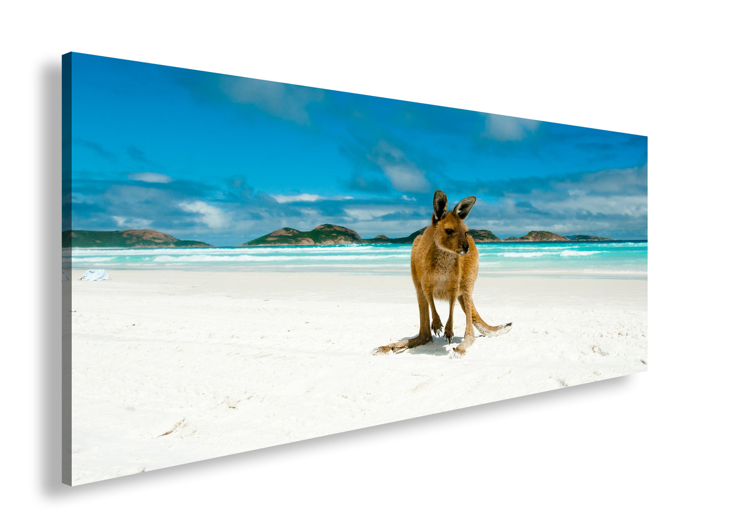 Hauptbild Farbig Panorama