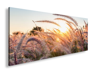 Hauptbild Farbig Panorama