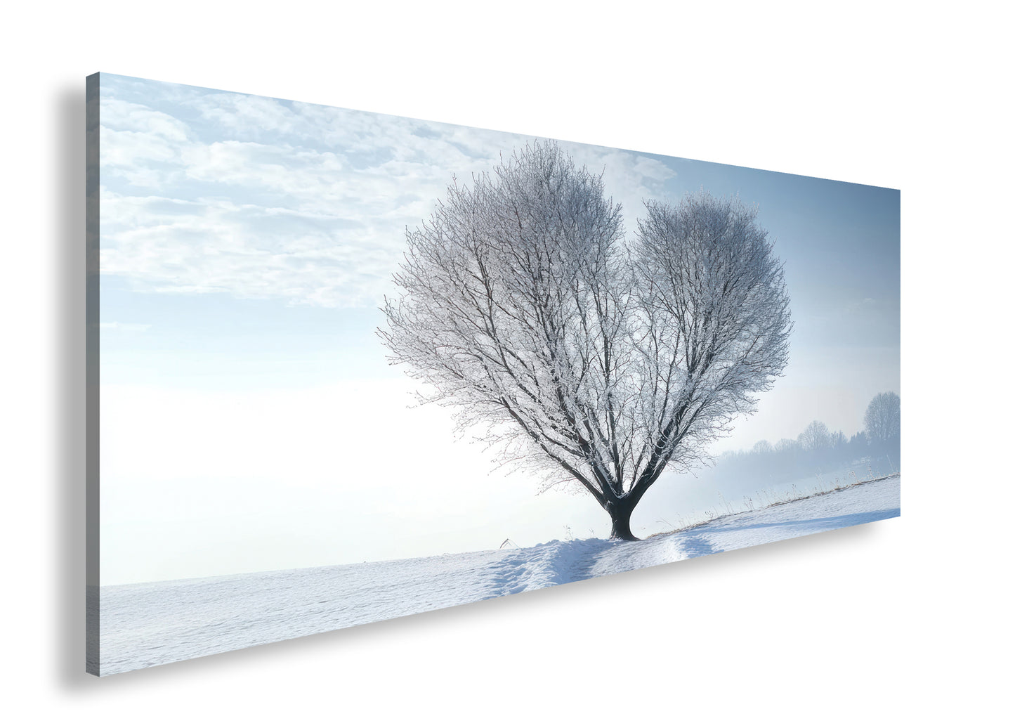 Hauptbild Farbig Panorama