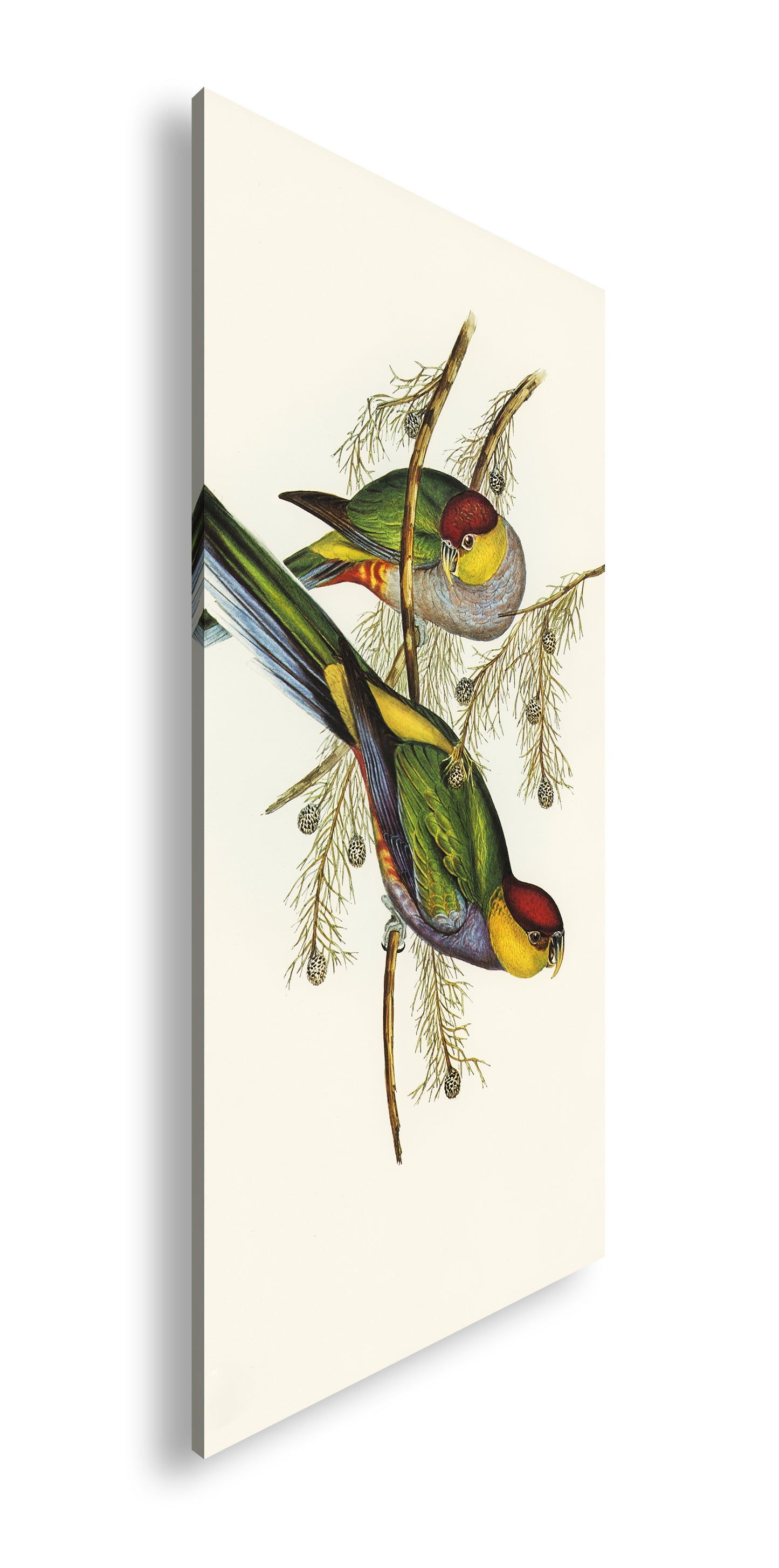 Hauptbild Farbig Panorama