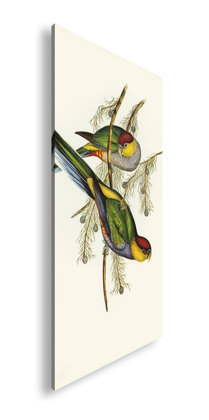 Hauptbild Farbig Panorama