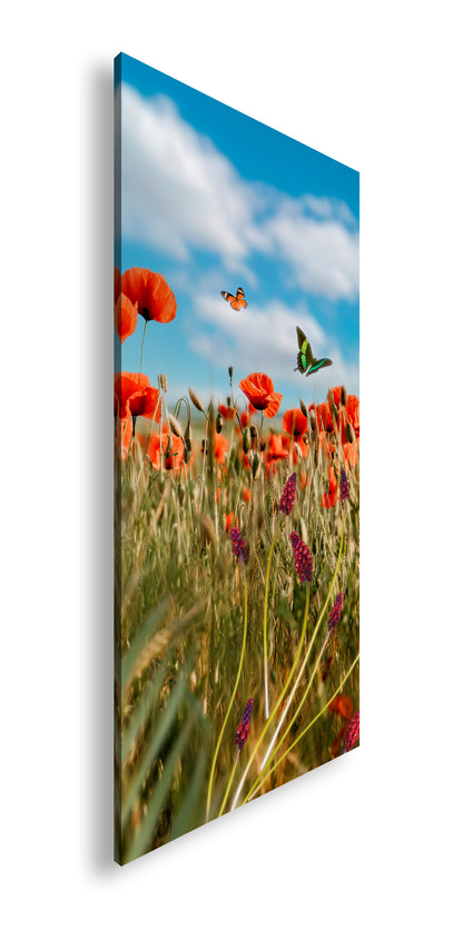 Hauptbild Farbig Panorama