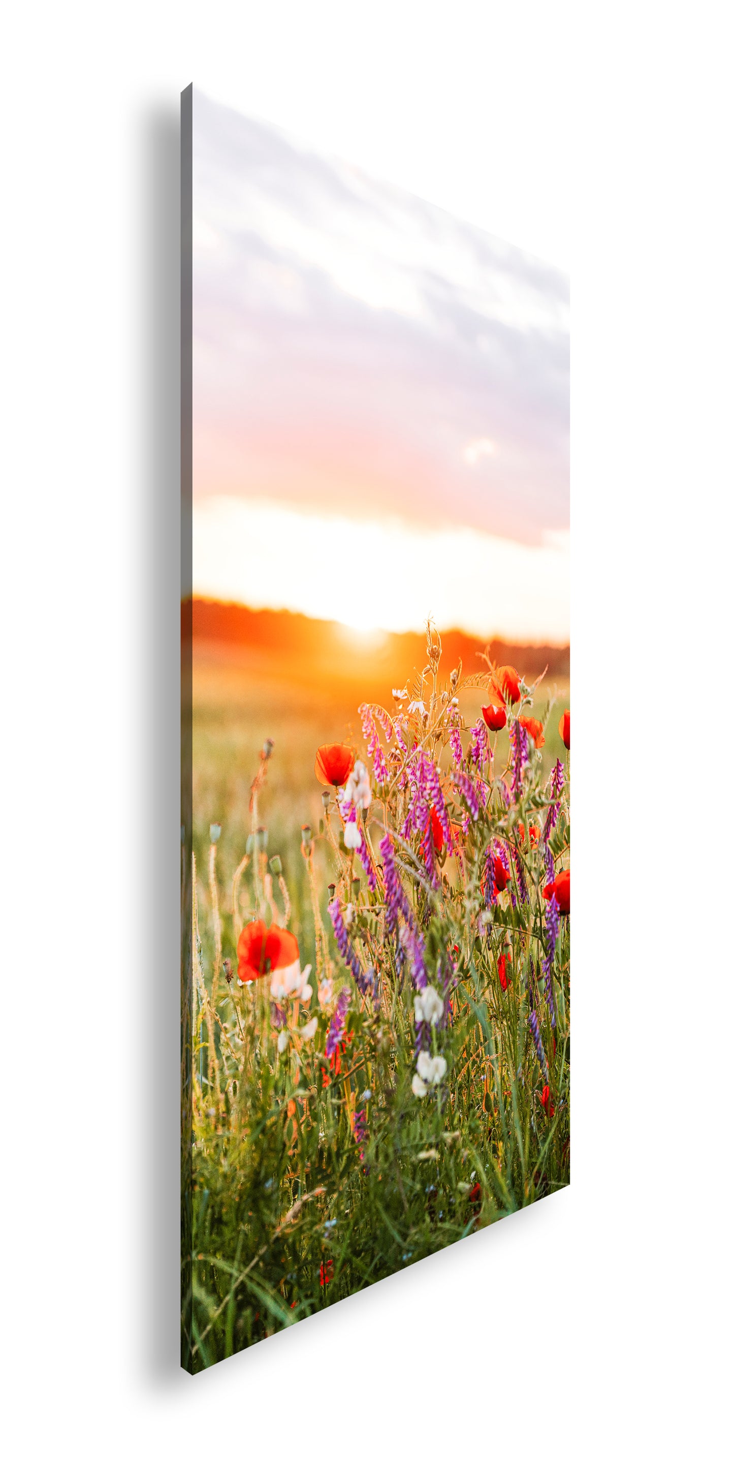 Hauptbild Farbig Panorama