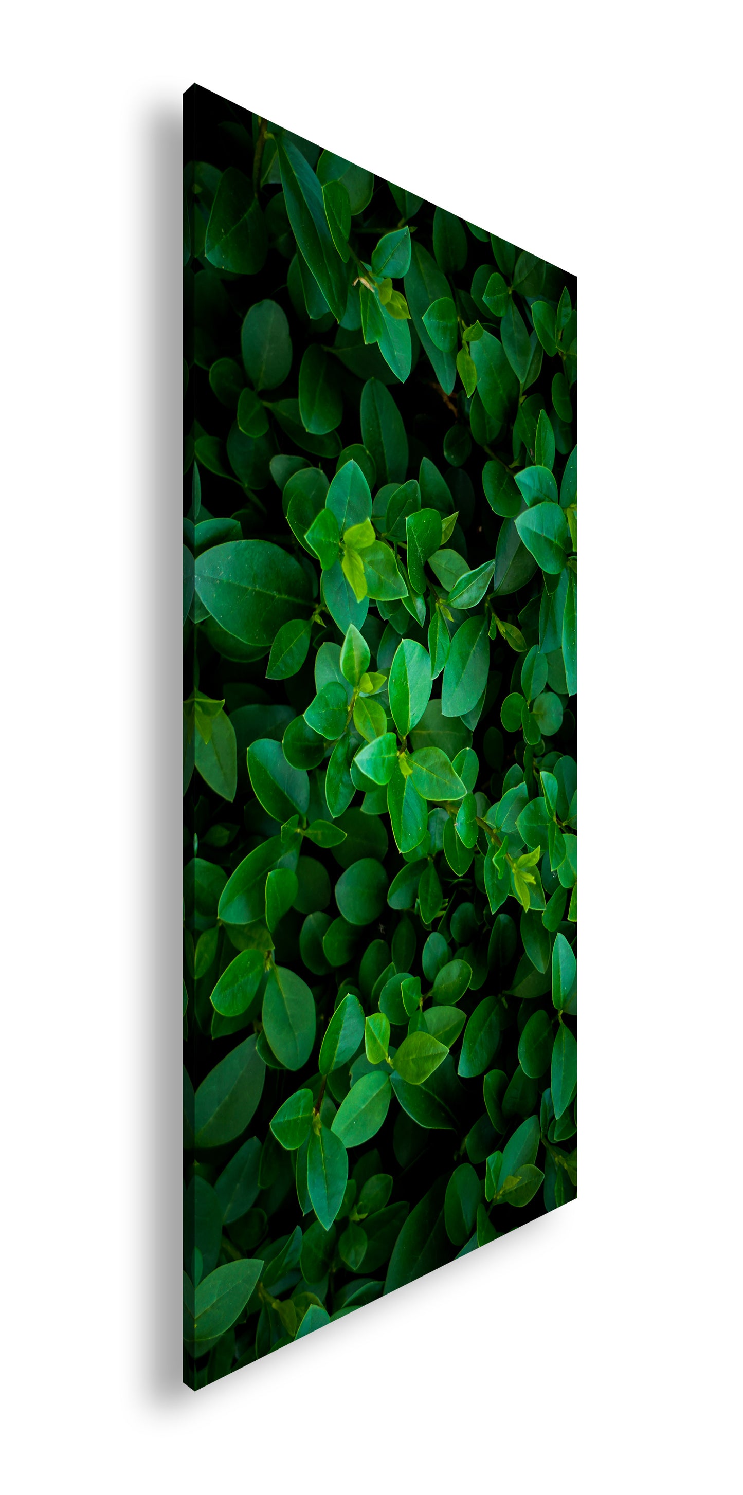 Hauptbild Farbig Panorama