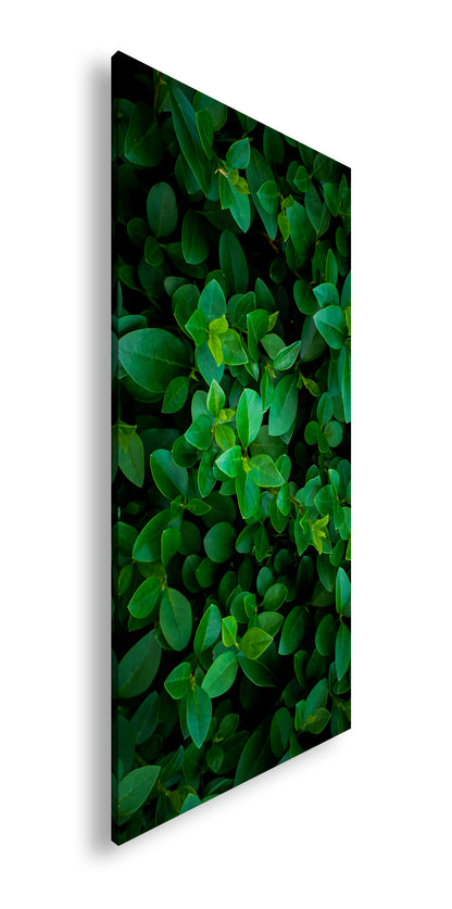 Hauptbild Farbig Panorama