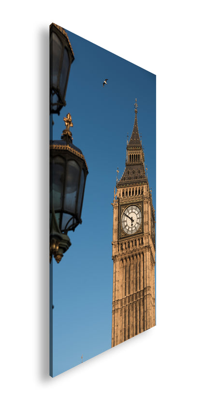 Hauptbild Farbig Panorama