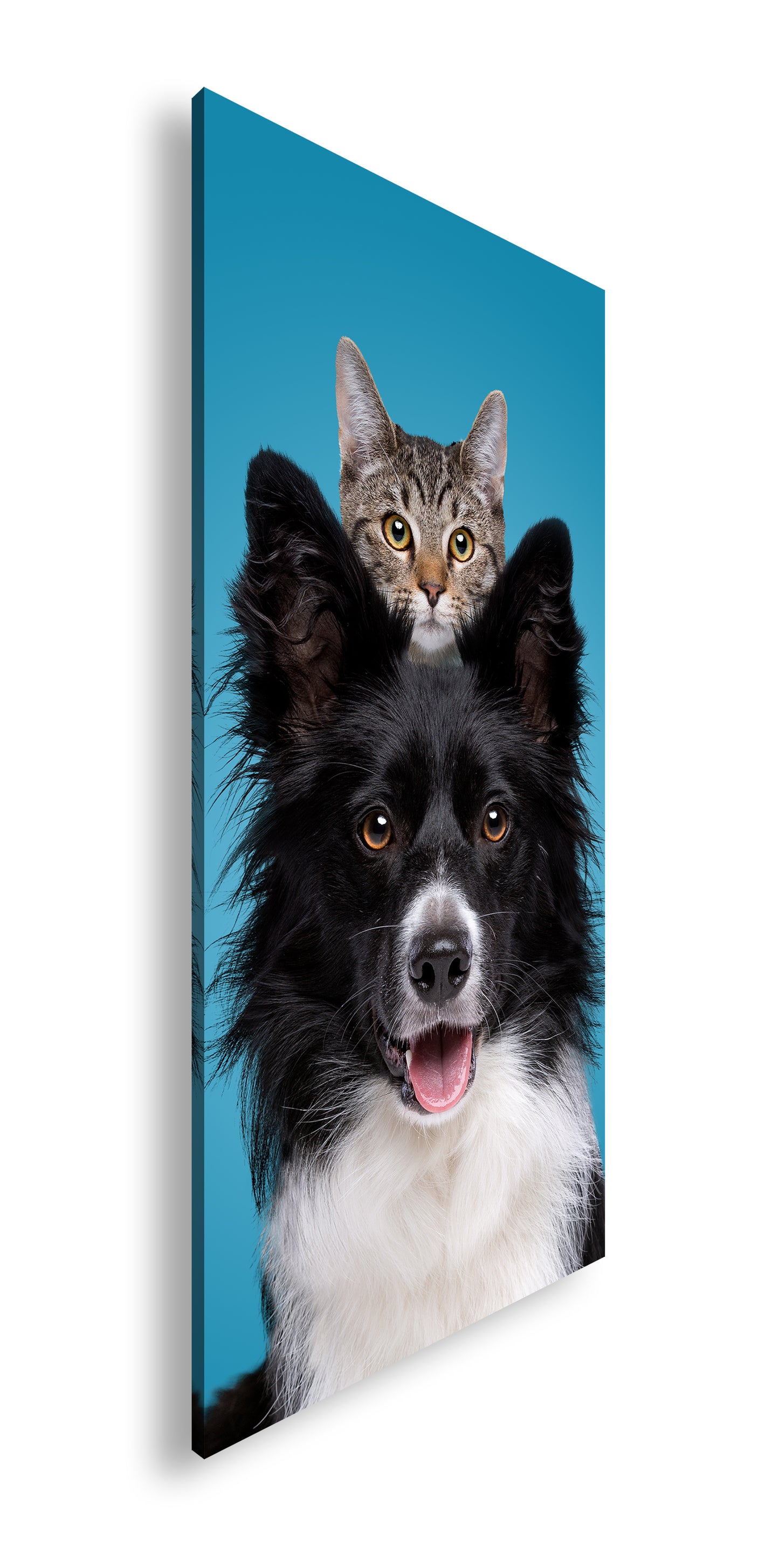 Hauptbild Farbig Panorama