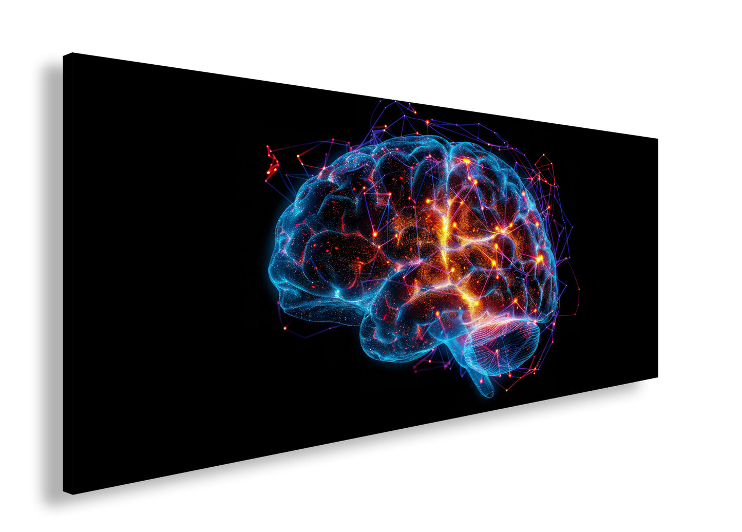 Hauptbild Farbig Panorama