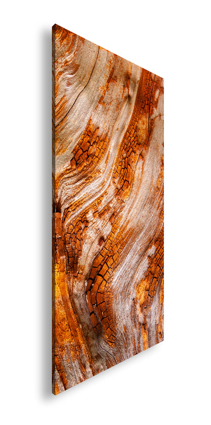 Hauptbild Farbig Panorama