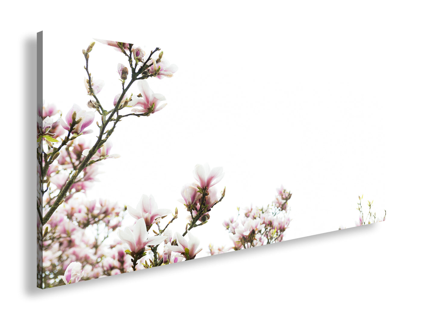 Hauptbild Farbig Panorama