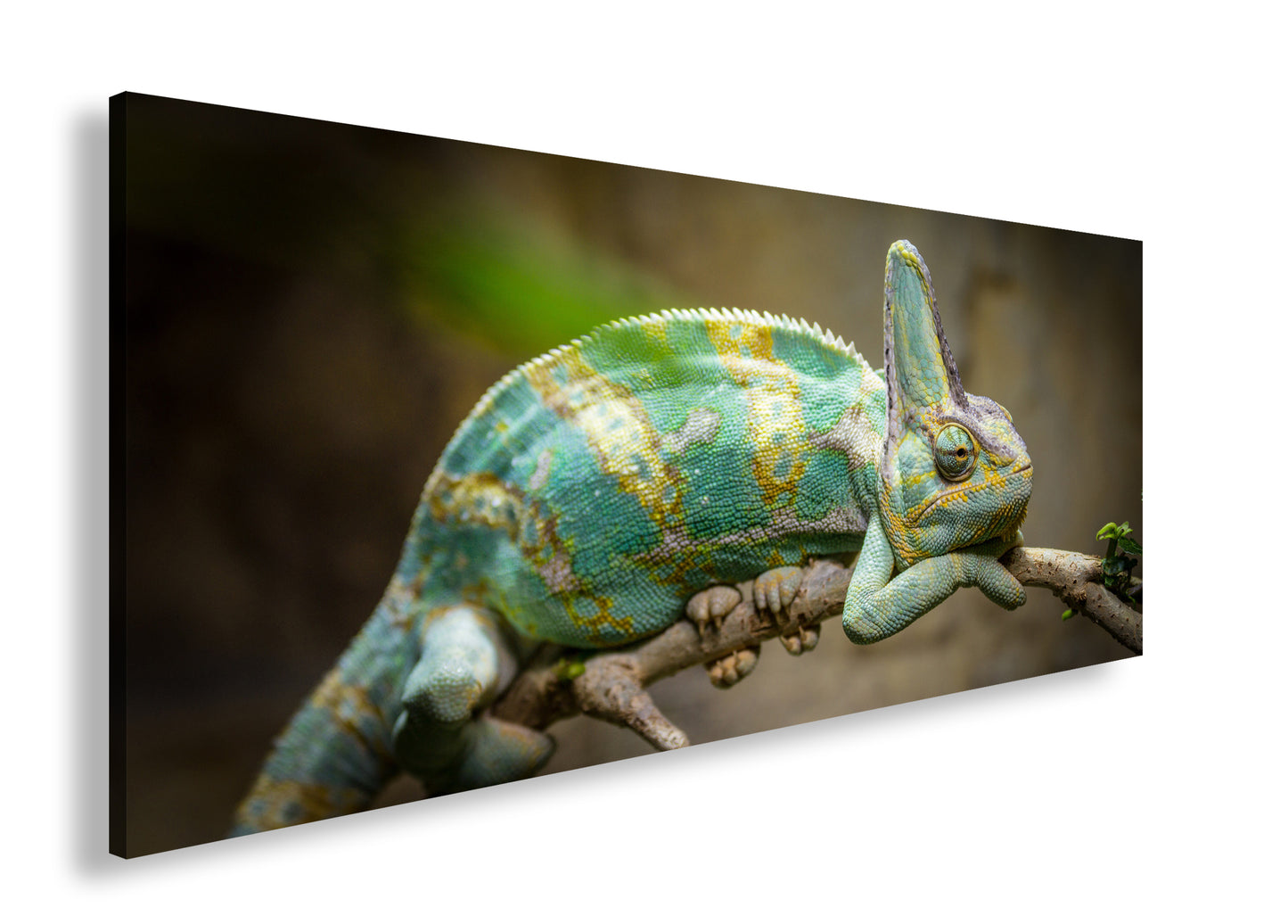 Hauptbild Farbig Panorama