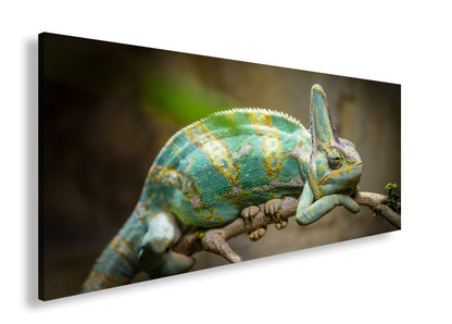 Hauptbild Farbig Panorama