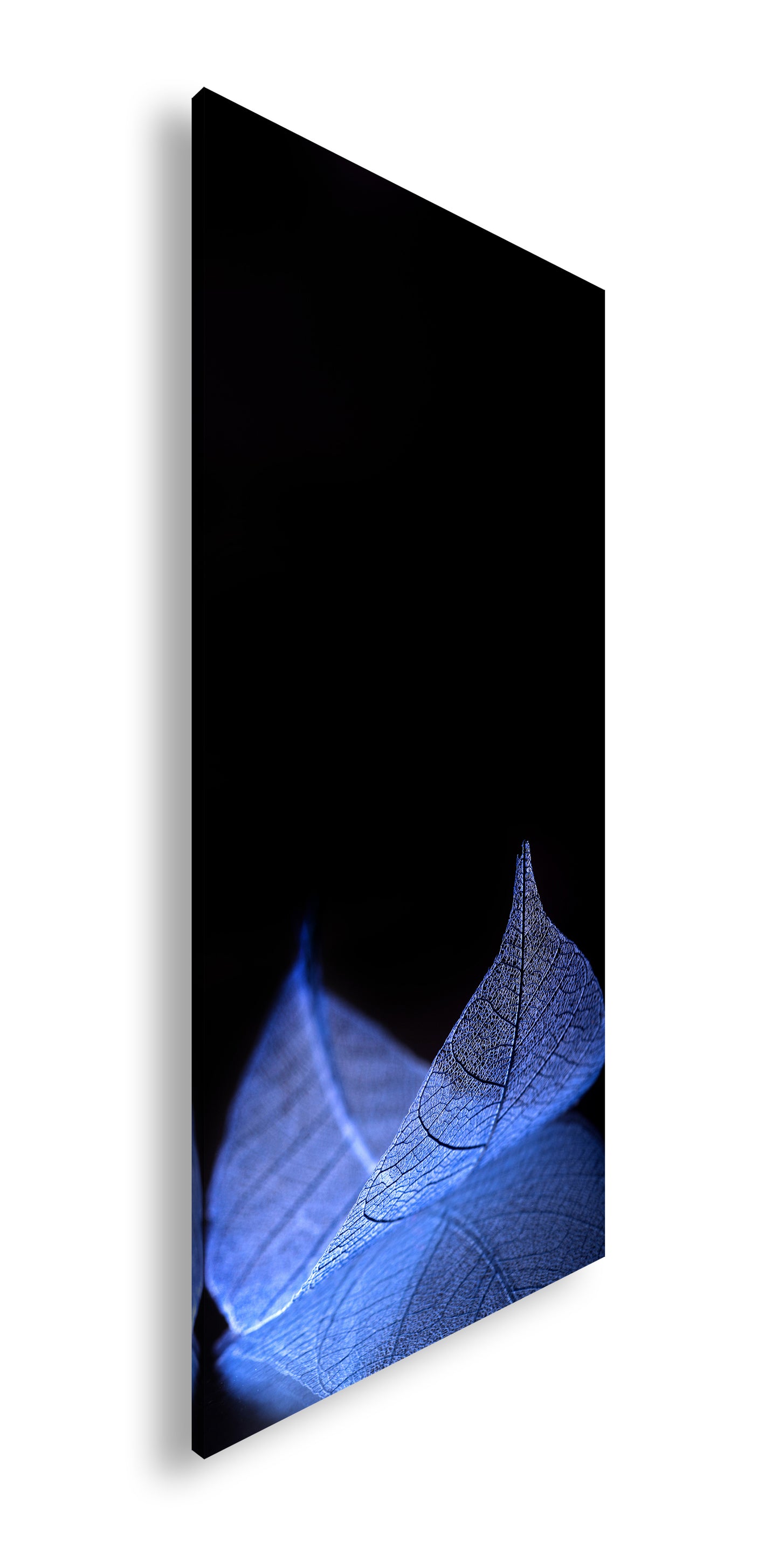 Hauptbild Farbig Panorama