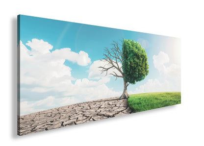 Hauptbild Farbig Panorama