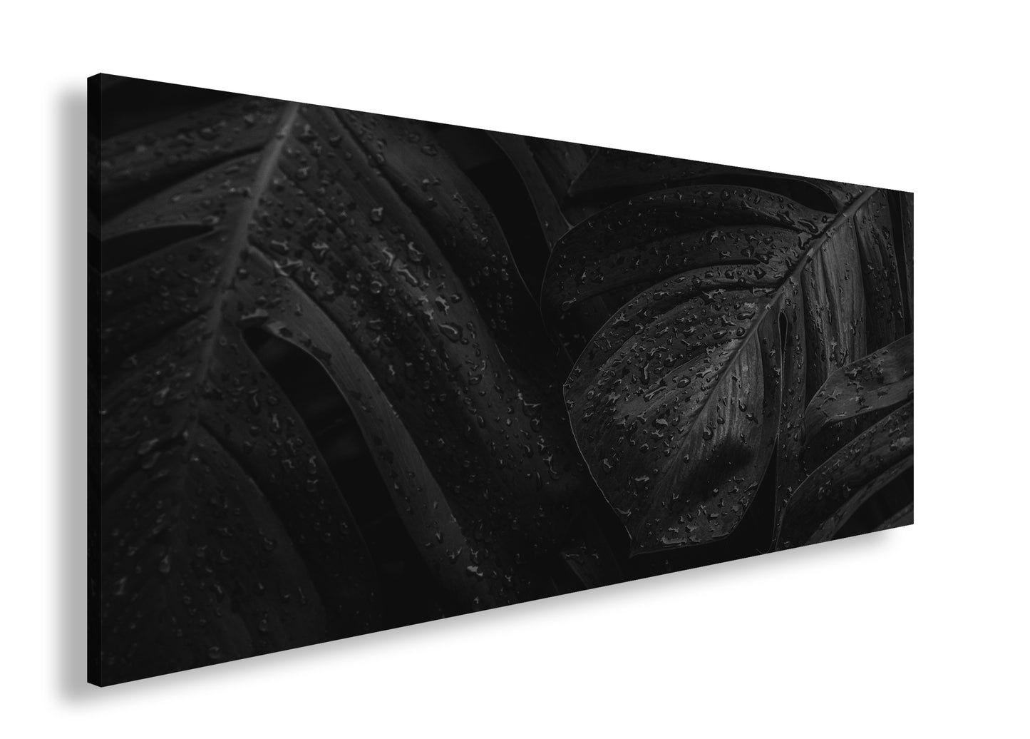 Hauptbild Farbig Panorama