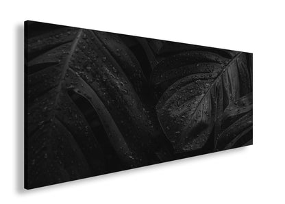 Hauptbild Farbig Panorama