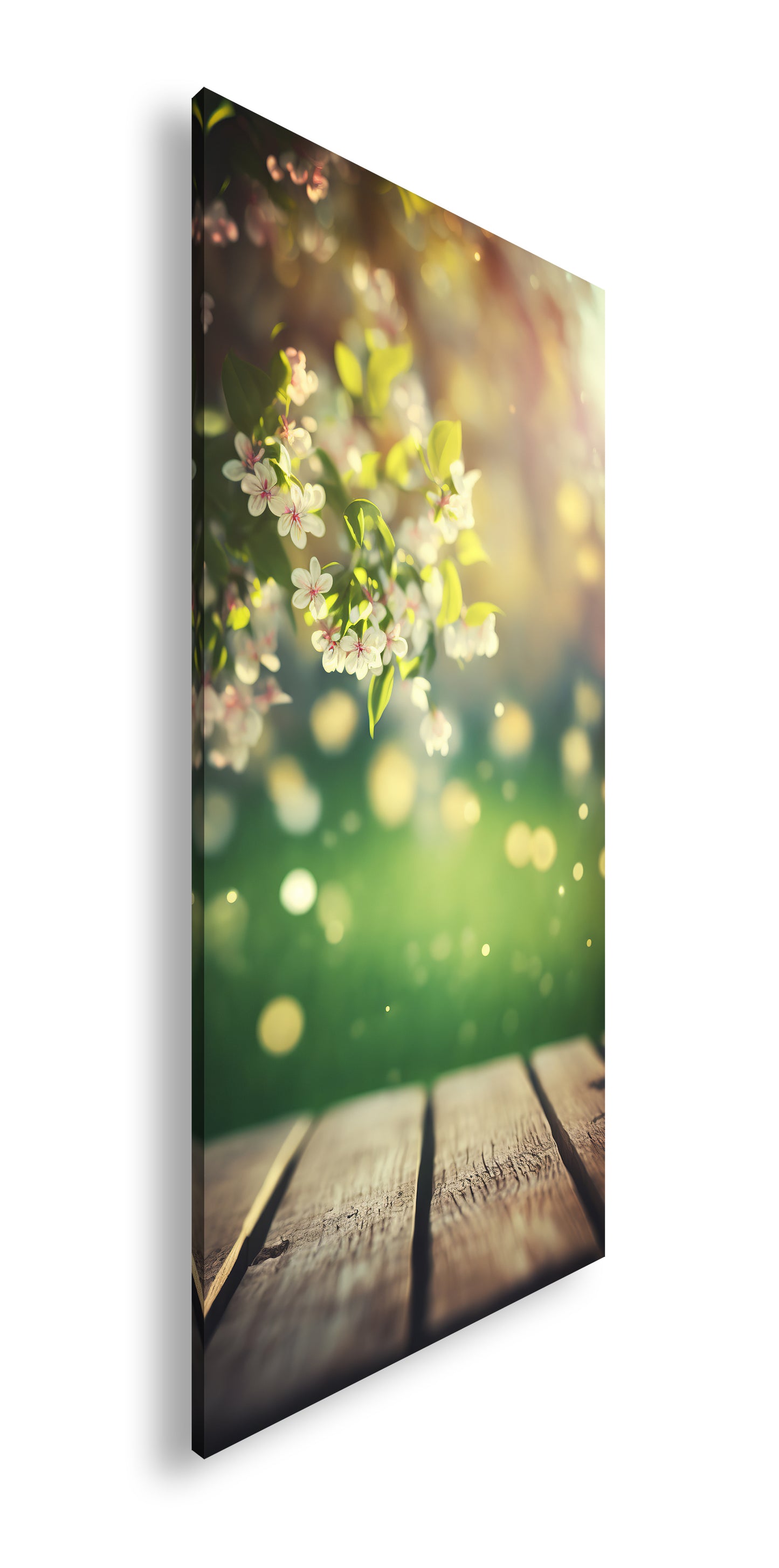 Hauptbild Farbig Panorama