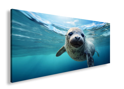 Hauptbild Farbig Panorama