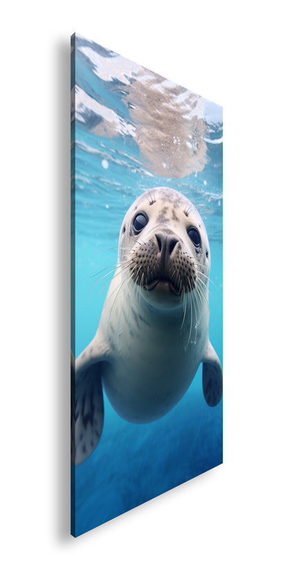 Hauptbild Farbig Panorama