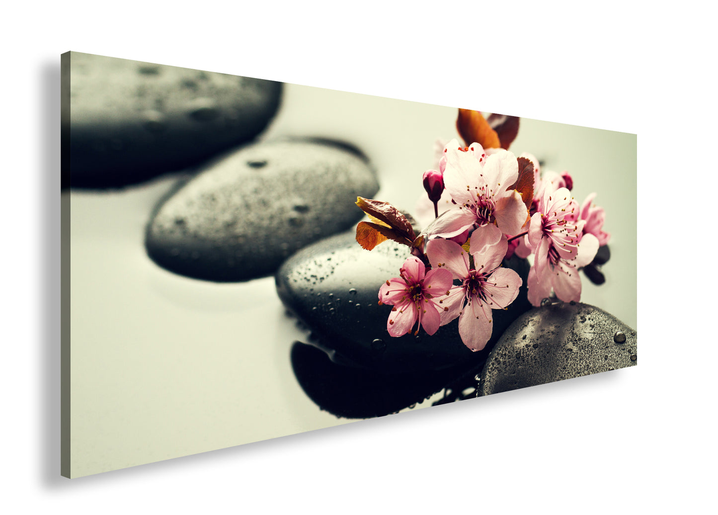 Hauptbild Farbig Panorama