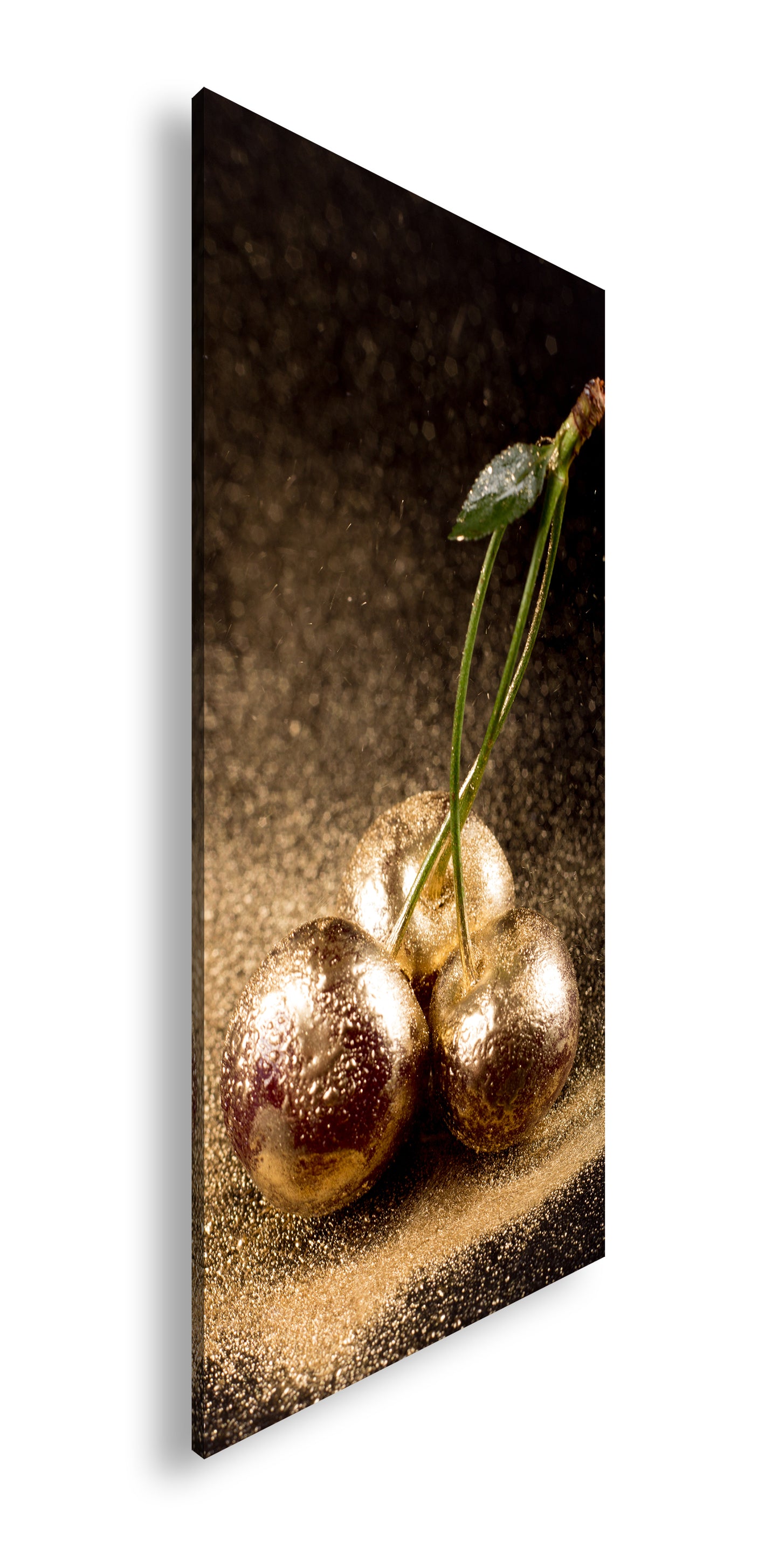 Hauptbild Farbig Panorama