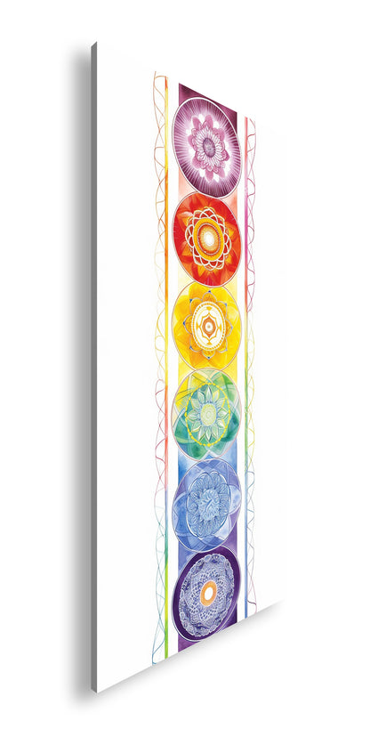 Hauptbild Farbig Panorama