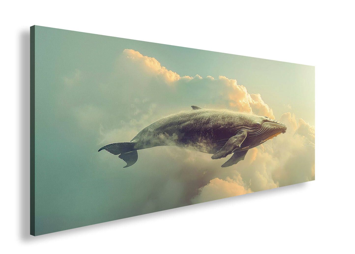 Hauptbild Farbig Panorama