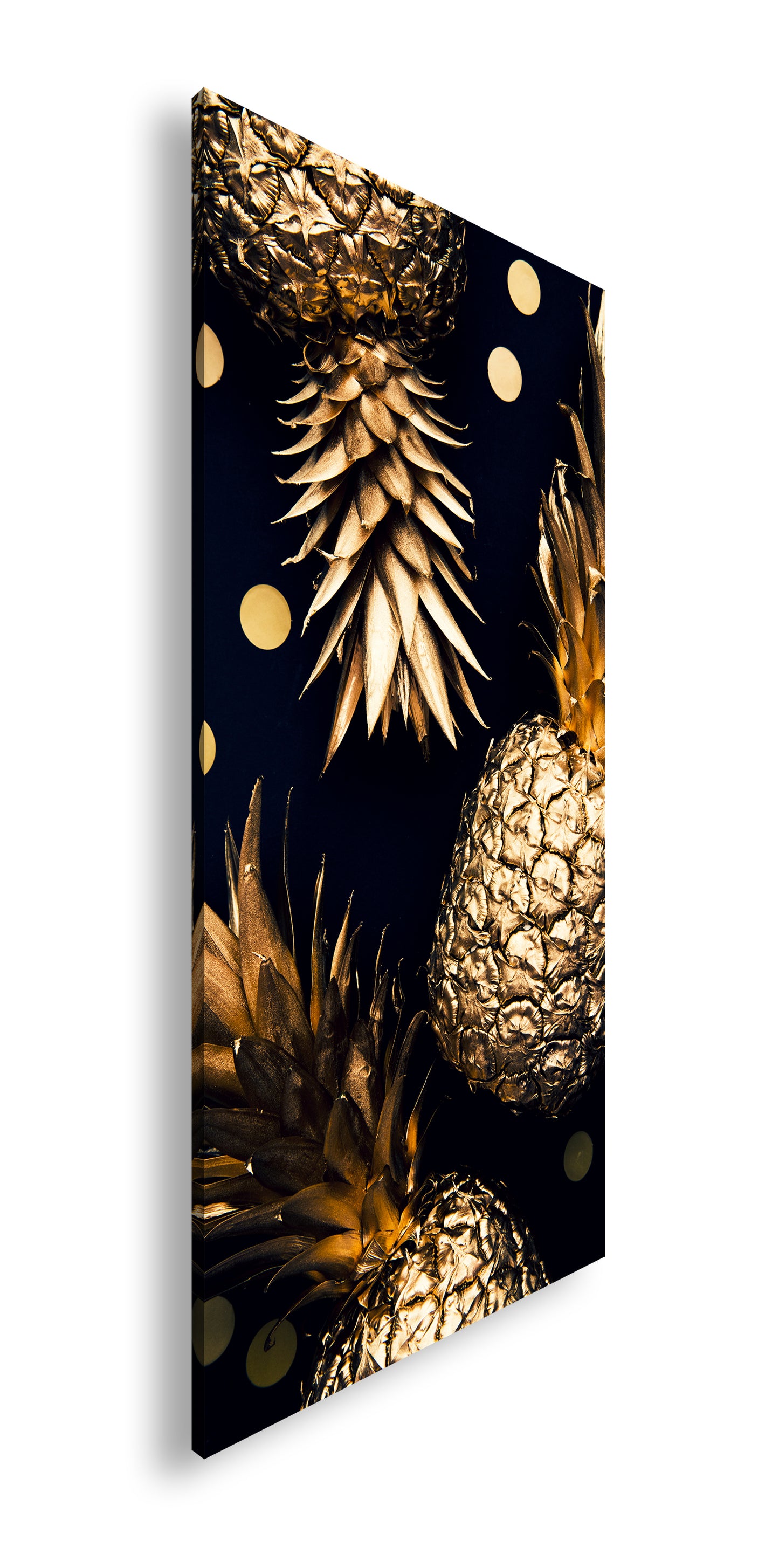 Hauptbild Farbig Panorama