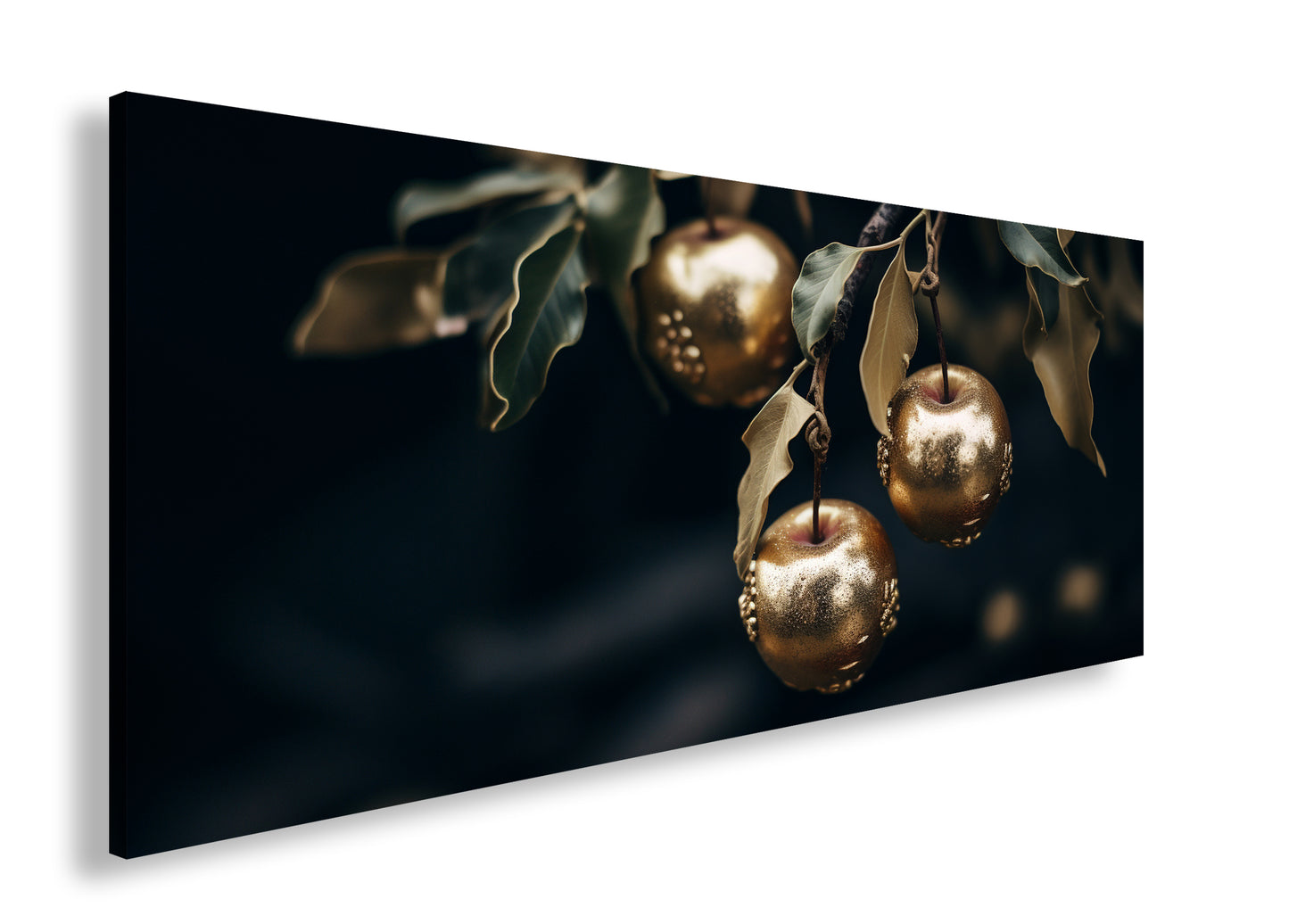 Hauptbild Farbig Panorama