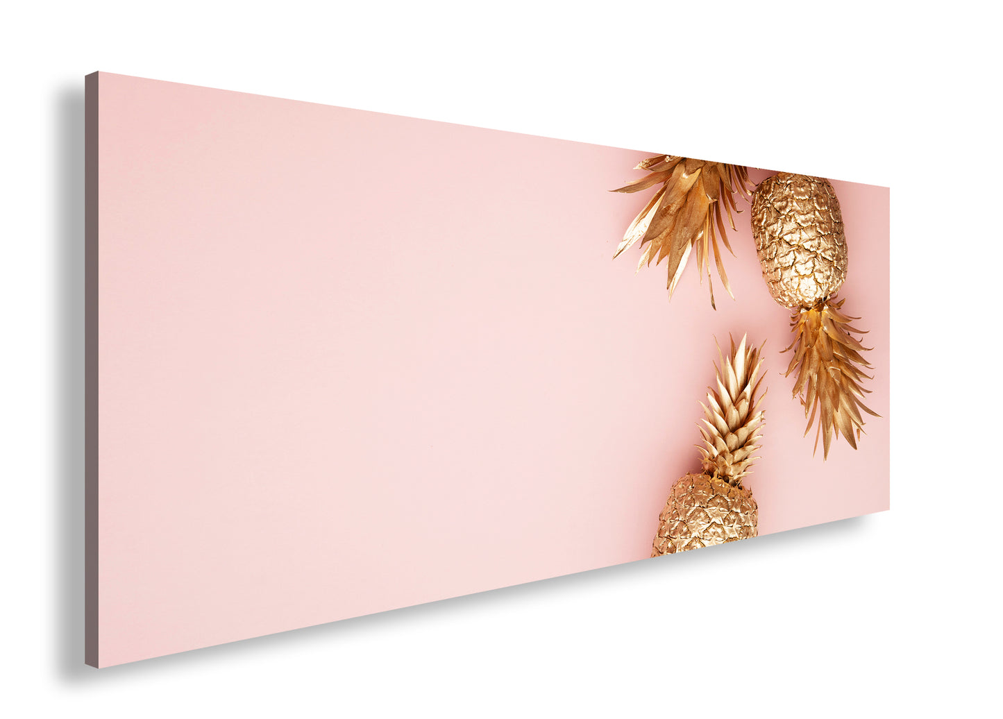 Hauptbild Farbig Panorama