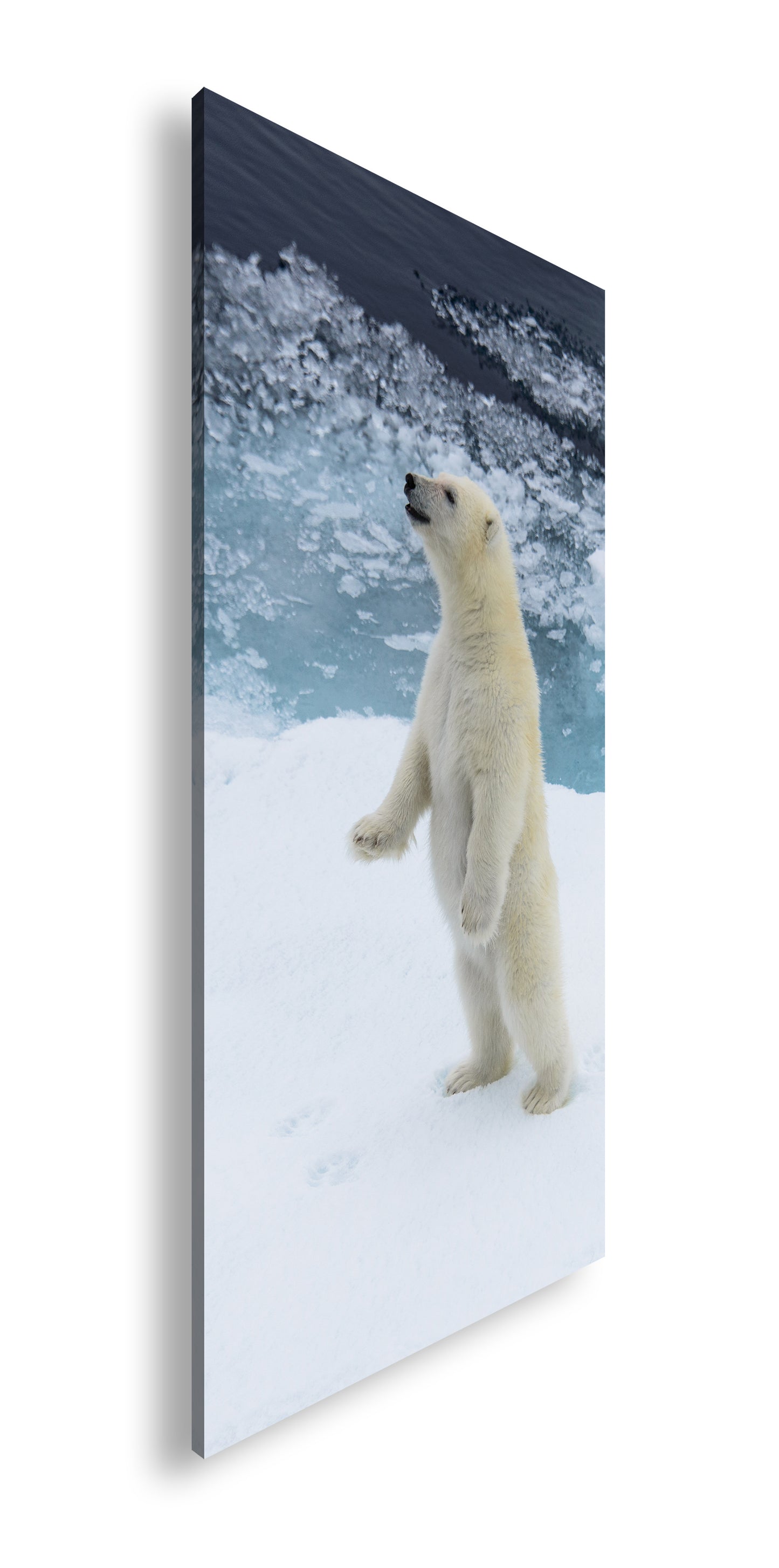 Hauptbild Farbig Panorama