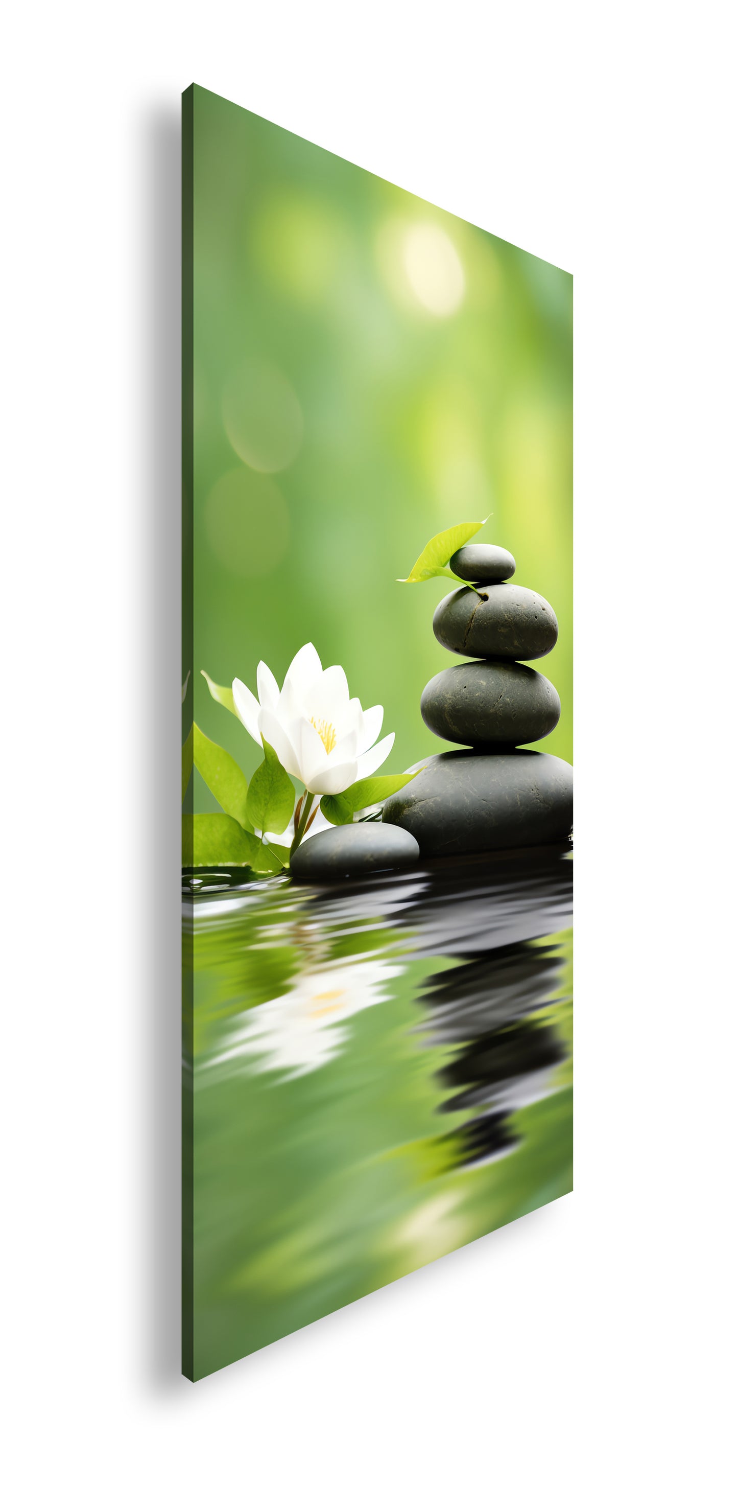 Hauptbild Farbig Panorama