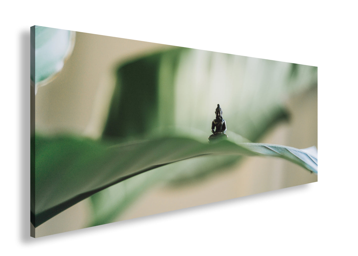 Hauptbild Farbig Panorama