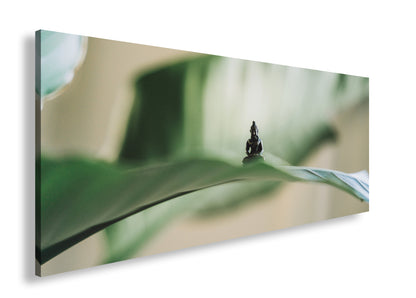 Hauptbild Farbig Panorama