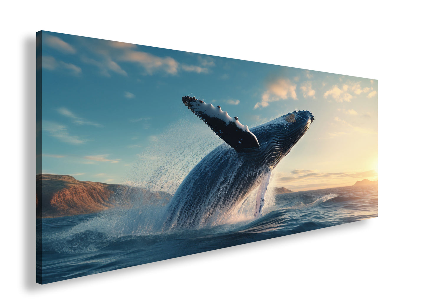 Hauptbild Farbig Panorama