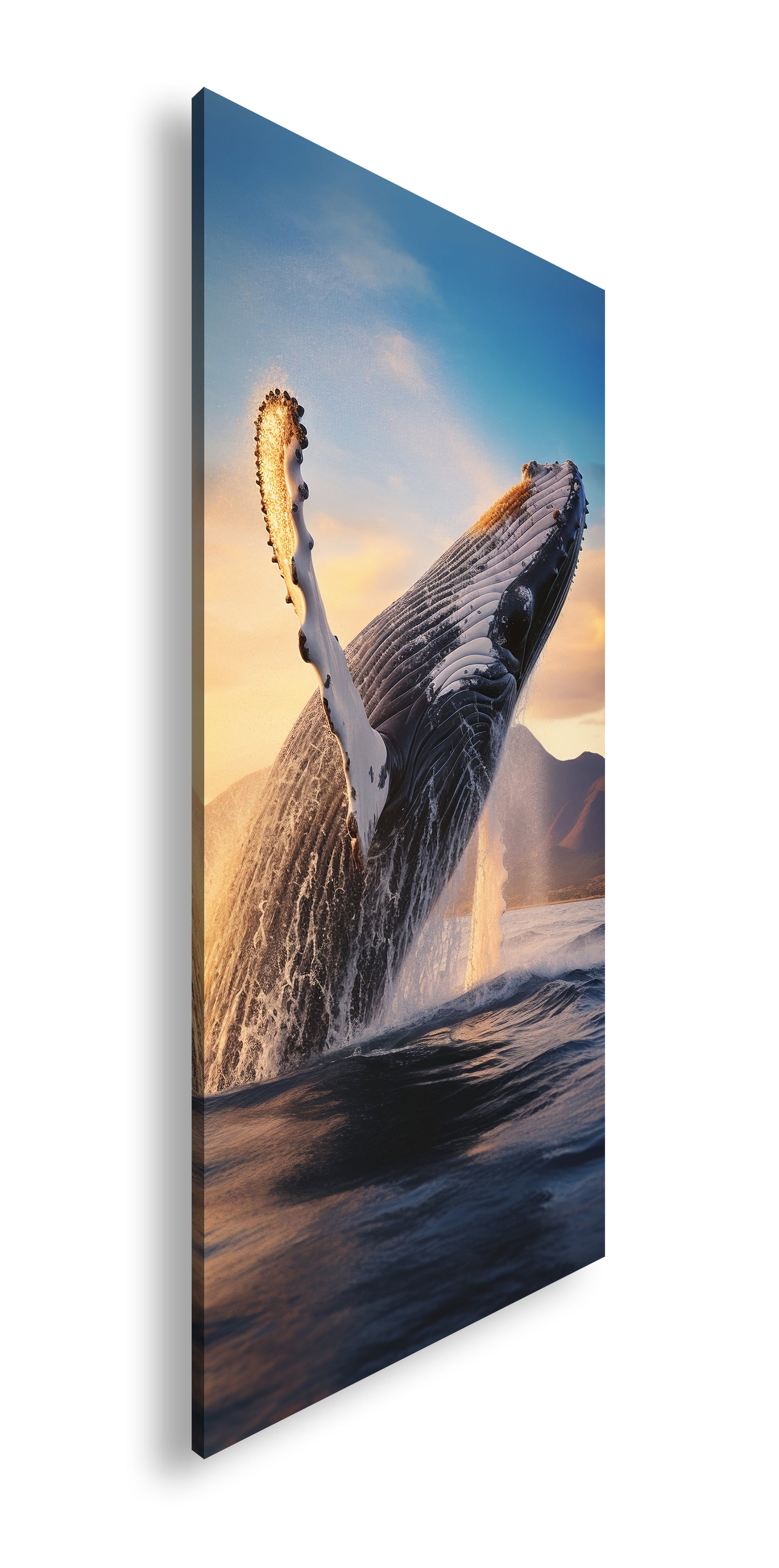 Hauptbild Farbig Panorama