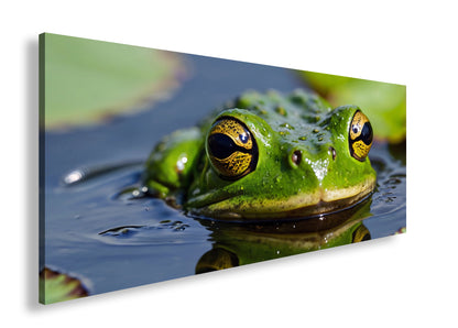 Hauptbild Farbig Panorama