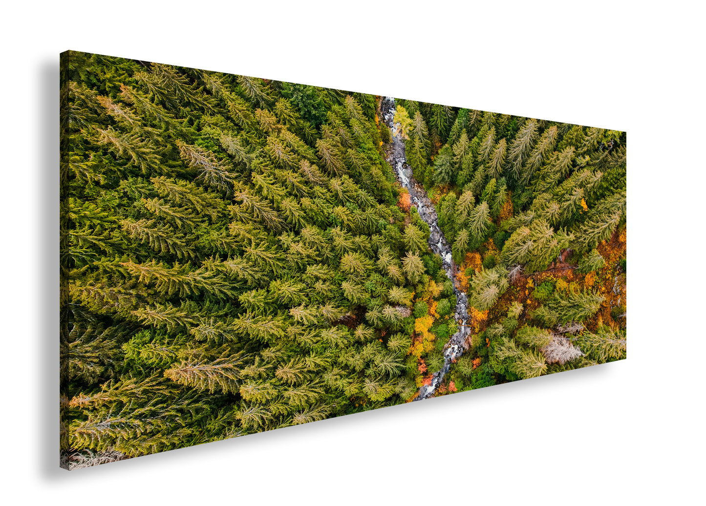 Hauptbild Farbig Panorama