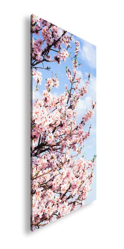 Hauptbild Farbig Panorama