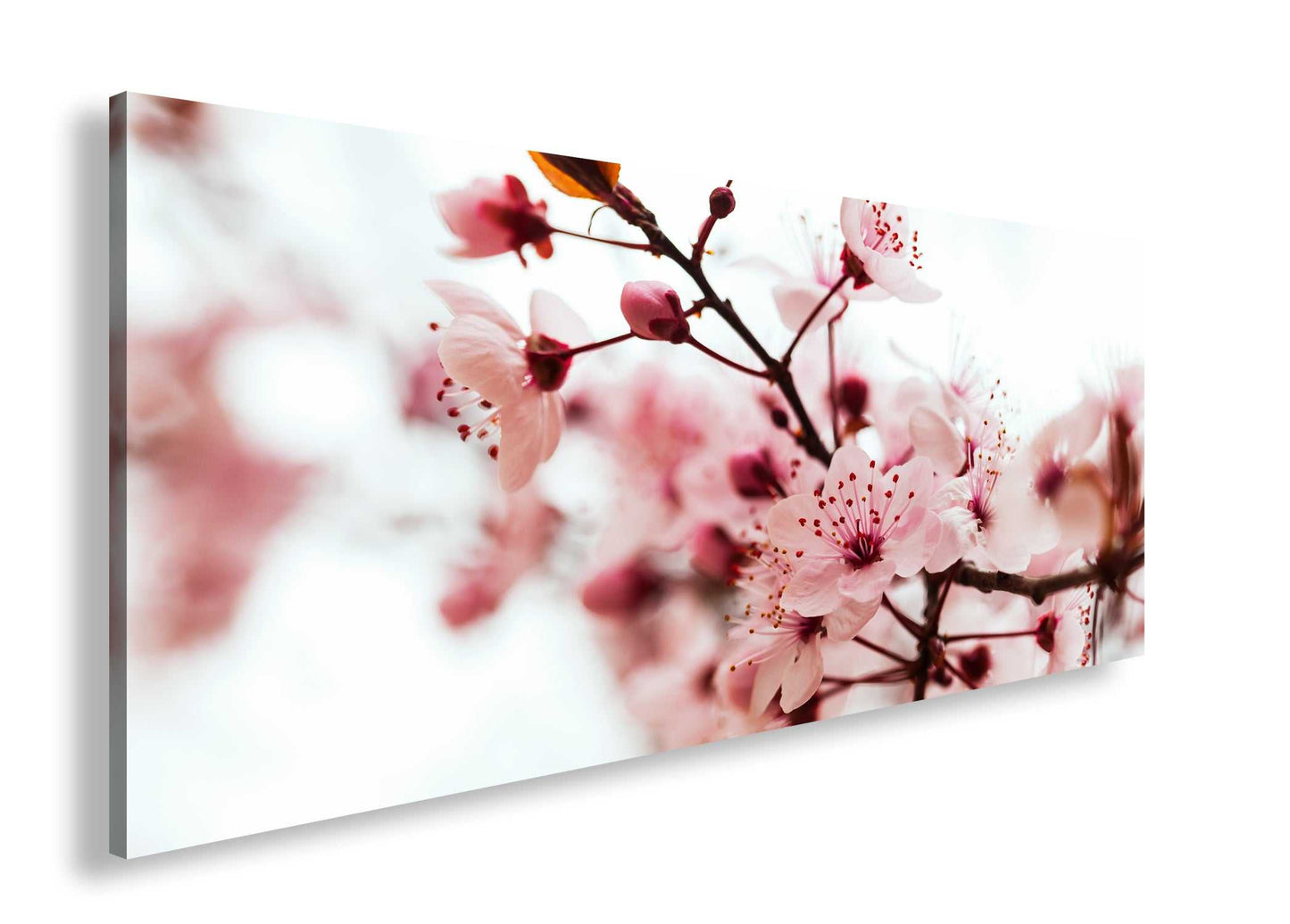 Hauptbild Farbig Panorama